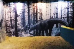 -恐龙探索乐园(磁器口店)