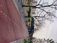 -上海山野camping·户外天幕烧烤·团建拓展营地