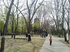 景点-玲珑塔公园