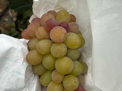 -马陆小张葡萄园农家乐