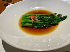 -觀芷隐轩