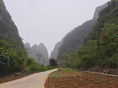 -明仕田园
