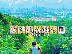 -火炉山森林公园