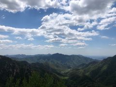 -大岭沟猕猴桃谷风景区