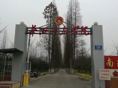 -华西村