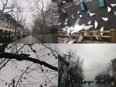 -石榴院子(西施故里店)