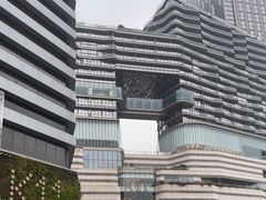 -星光大道