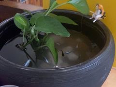 -竹雀古法采耳(青岛麦凯乐店)