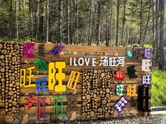 -汤旺河林海奇石景区