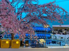 -花开餐厅(环湖中路店)