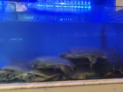 -王捌小院(红花坡店)