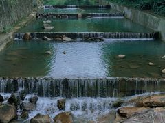 -广州白江湖森林公园