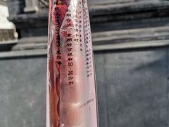 -和禄德冰糖葫芦