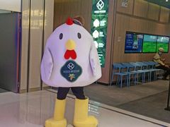 -润园四季椰子鸡火锅(南山海岸城店)
