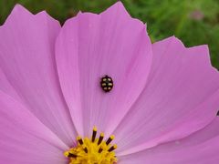 -帽儿山国家森林公园