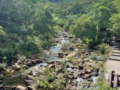 -广州白江湖森林公园