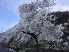 -江南天池