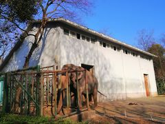 -合肥野生动物园