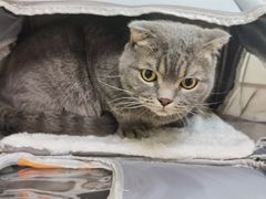 -酷宠动物医院(天通西苑店)