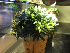 -麦当劳(西客站店)
