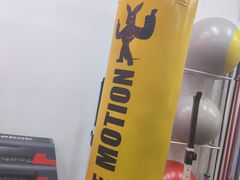 -Stone Motion释动健身