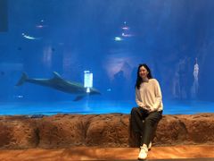 -华夏文旅海洋公园