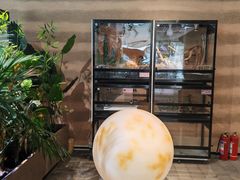 -大视光学•LINDBERG林德伯格•全球手工眼镜集合店(王府井店)