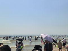 -日照海滨国家森林公园