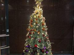 -澳门旅游塔360°旋转餐厅(南湾湖广场店)