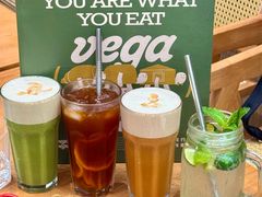 -VEGA VEGA 我行我素
