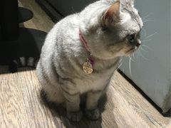 -小时光咖啡馆(开森度假森林店)
