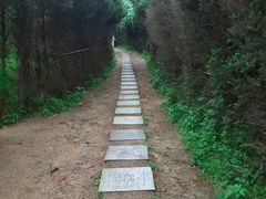 -信阳灵山风景区