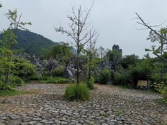 -千岛湖石林