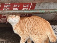 -潮州西湖