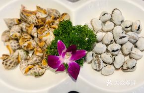 Mixed Sea Snail Delight