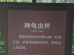 -灵山
