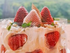 -卷心卷意·轻甜蛋糕(新光天地店)