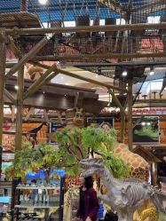 -卡通尼·Safari非洲探索乐园·生日会(金桥国际商业广场店)