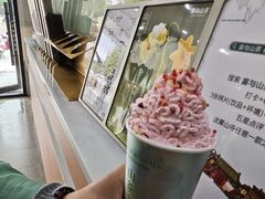 -雾与山茶(大禹城店)