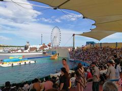 -秦皇岛乐岛海洋王国