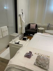 -奥斯芬欧系贵族SPA