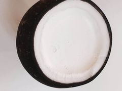 -志龙皇冠吃货椰子铺