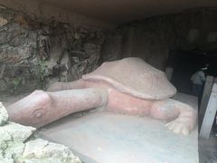 -上海佘山国家森林公园天马山园