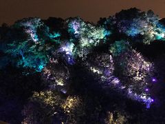 景点-飞凤山奥体公园