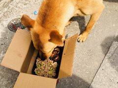 -西山人家·传统苏帮菜·家宴(木渎店)