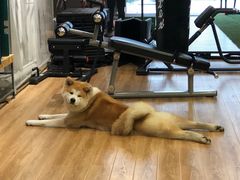 -YCHL Studios健身工作室(市二宫店)