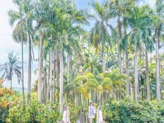 -中国科学院华南植物园
