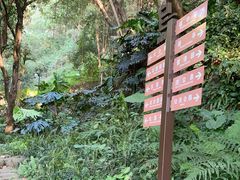 -乌山风景区