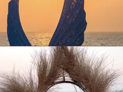 -日照海滨国家森林公园