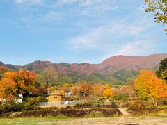 -塔川景区